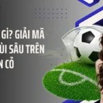 Regista Là Gì? Giải Mã "Bộ Não" Lùi Sâu Trên Sân Cỏ